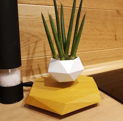 Floating Magnetic Air Plant Pot - Imagem 10