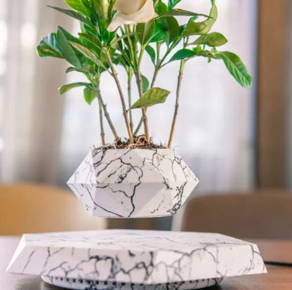 Floating Magnetic Air Plant Pot - Imagem 7
