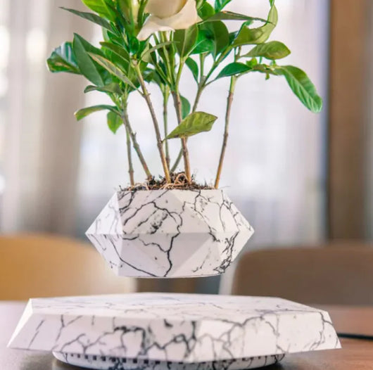 Floating Magnetic Air Plant Pot - Imagem 7