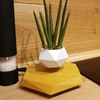 Floating Magnetic Air Plant Pot