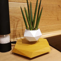 Floating Magnetic Air Plant Pot