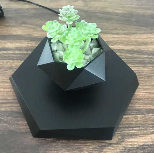 Floating Magnetic Air Plant Pot