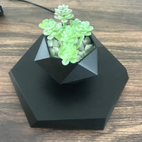Floating Magnetic Air Plant Pot