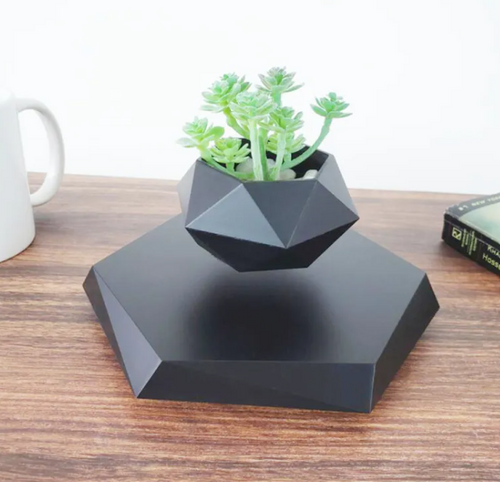 Floating Magnetic Air Plant Pot